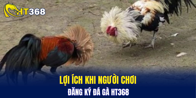Lợi ích khi người chơi đăng ký đá gà HT368