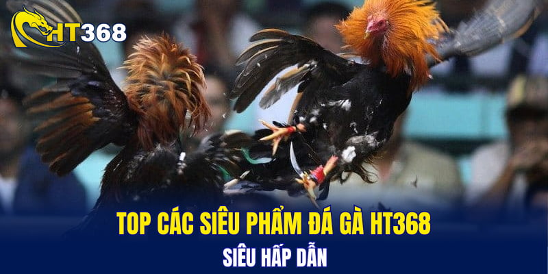 Top các siêu phẩm đá gà HT368 siêu hấp dẫn