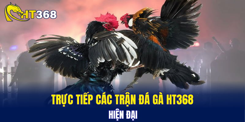 Trực tiếp các trận đá gà HT368 hiện đại